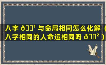 八字 🌹 与命局相同怎么化解（八字相同的人命运相同吗 🌲 ）